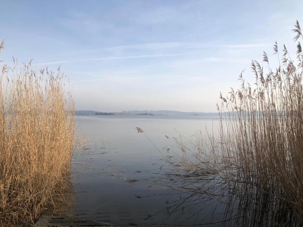 Ferienwohnung Seeblick - Insel Usedom Balm Экстерьер фото