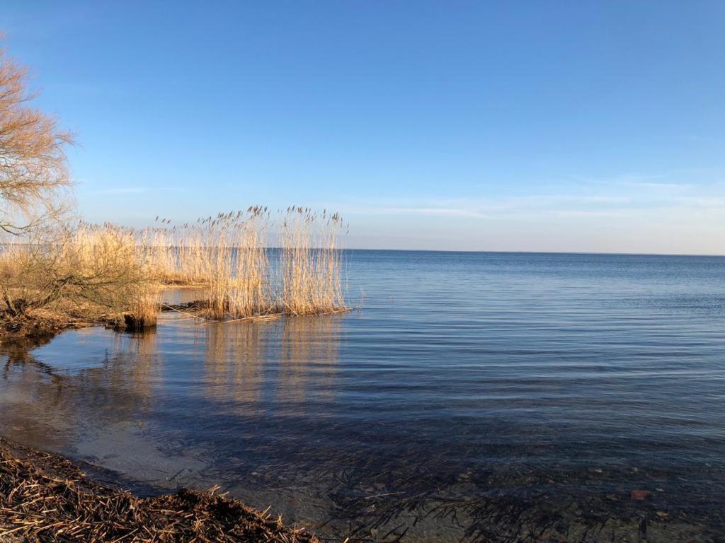 Ferienwohnung Seeblick - Insel Usedom Balm Экстерьер фото