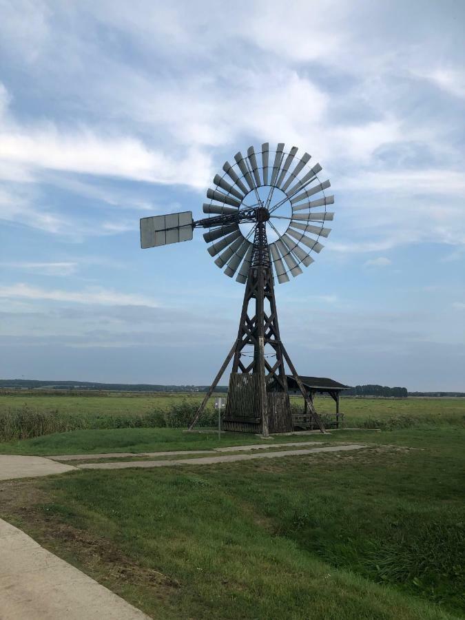 Ferienwohnung Seeblick - Insel Usedom Balm Экстерьер фото